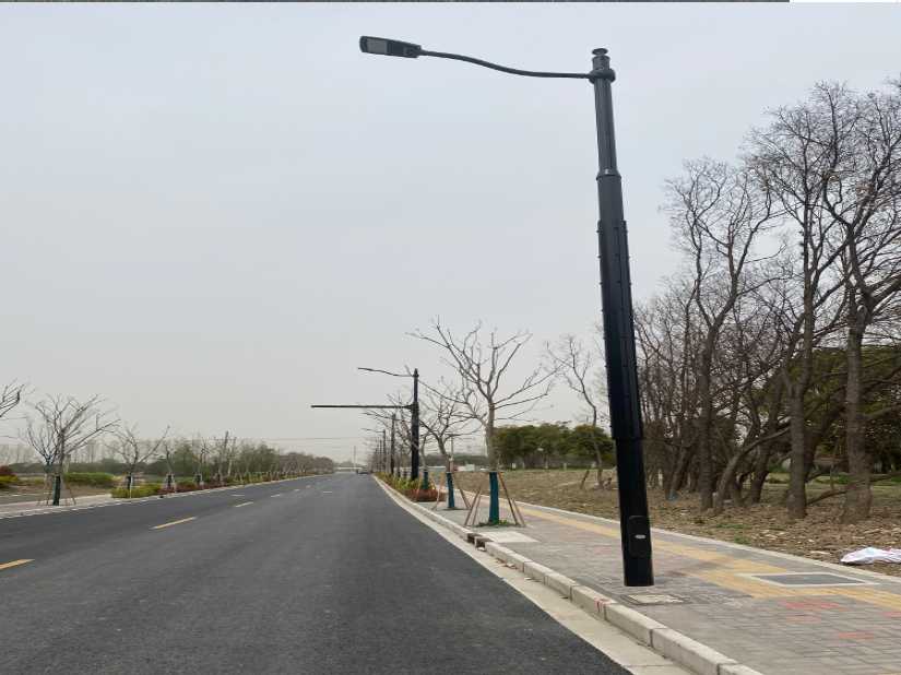 乃东区上海综合杆 太阳能路灯工程